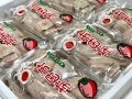 日本長野信州市田柿 柿餅(6入禮盒)