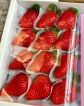 日本德島櫻桃草莓16-24玉