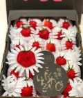 日本熊本糖蜜草莓21-30入