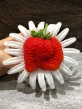 日本熊本糖蜜草莓21-30入