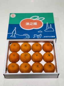 日本長崎西海津之輝蜜柑12入禮盒