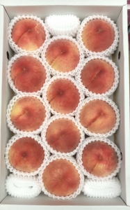 和歌山水蜜桃13玉禮盒