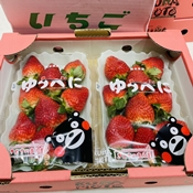 日本熊本草莓6-9玉(一盒2盤)
