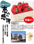 日本熊本草莓6-9玉(一盒2盤)
