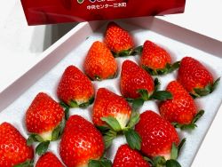 日本香川讚歧姬15-18玉草莓禮盒(約500G)