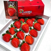 日本香川讚歧姬15-18玉草莓禮盒(約500G)