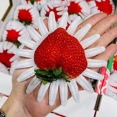 日本長崎糖蜜草莓21-24玉
